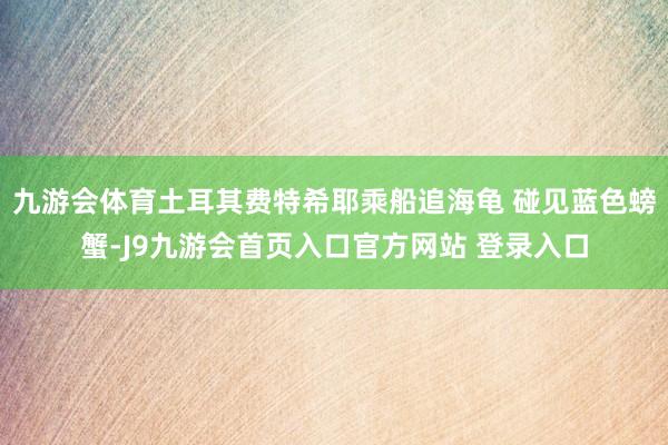 九游会体育土耳其费特希耶乘船追海龟 碰见蓝色螃蟹-J9九游会首页入口官方网站 登录入口