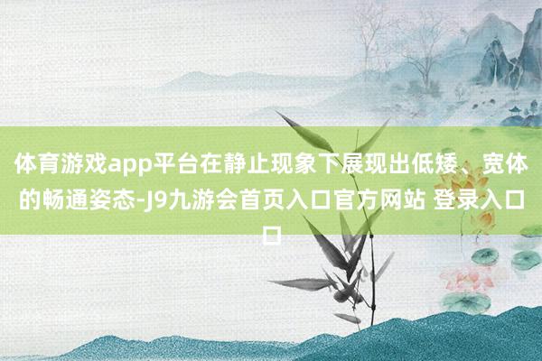 体育游戏app平台在静止现象下展现出低矮、宽体的畅通姿态-J9九游会首页入口官方网站 登录入口