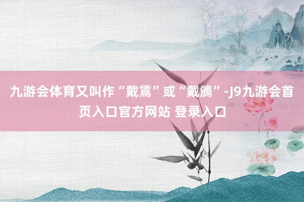 九游会体育又叫作“戴鵀”或“戴鳻”-J9九游会首页入口官方网站 登录入口
