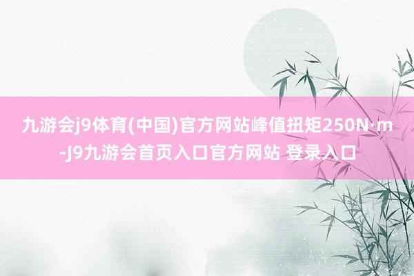 九游会j9体育(中国)官方网站峰值扭矩250N·m-J9九游会首页入口官方网站 登录入口