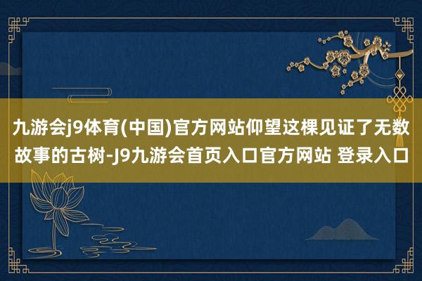 九游会j9体育(中国)官方网站仰望这棵见证了无数故事的古树-J9九游会首页入口官方网站 登录入口