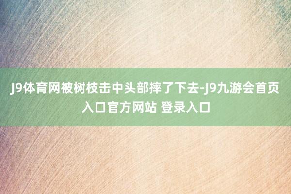 J9体育网被树枝击中头部摔了下去-J9九游会首页入口官方网站 登录入口