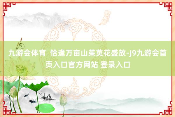 九游会体育  恰逢万亩山茱萸花盛放-J9九游会首页入口官方网站 登录入口