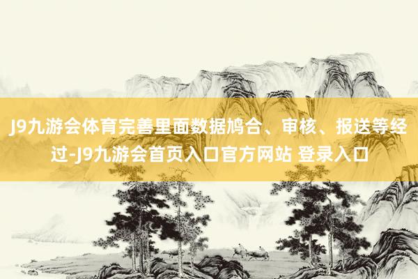 J9九游会体育完善里面数据鸠合、审核、报送等经过-J9九游会首页入口官方网站 登录入口