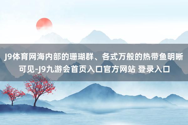 J9体育网海内部的珊瑚群、各式万般的热带鱼明晰可见-J9九游会首页入口官方网站 登录入口
