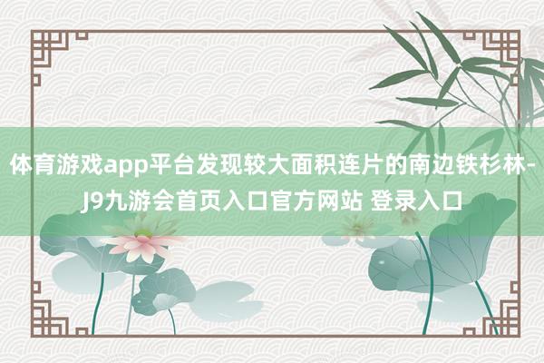 体育游戏app平台发现较大面积连片的南边铁杉林-J9九游会首页入口官方网站 登录入口